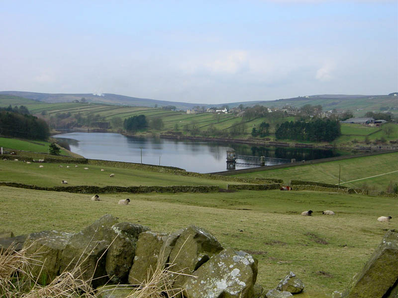 051moors02