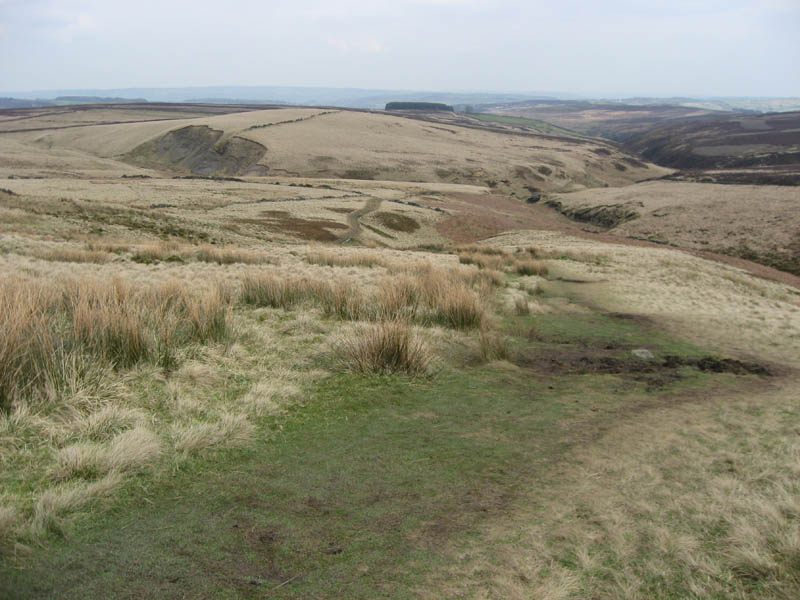 055moors06
